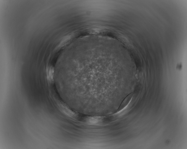X0000092220094200709281052