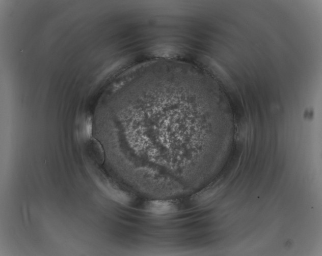 X0000092220095200709281052