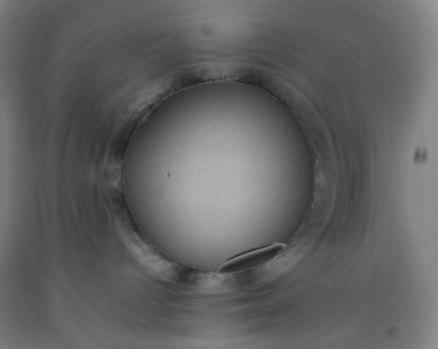X0000092220096200709281052