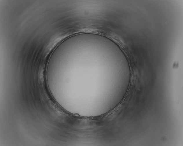 X0000092220098200709281051