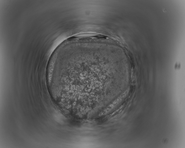 X0000092220099200709281051