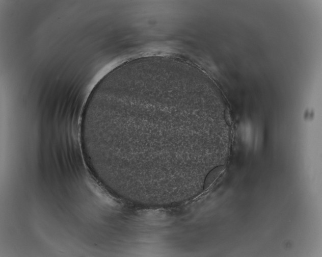 X0000092220100200709281051
