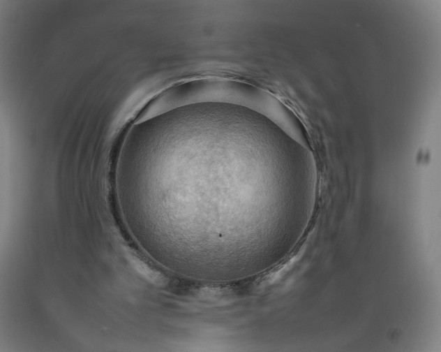 X0000092220101200709281051