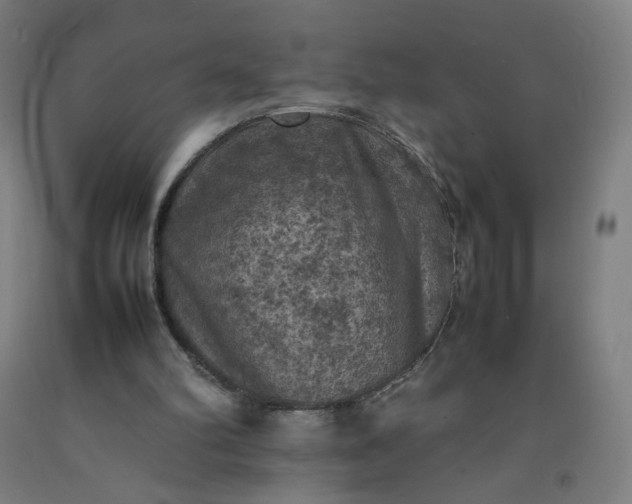 X0000092220102200709281051