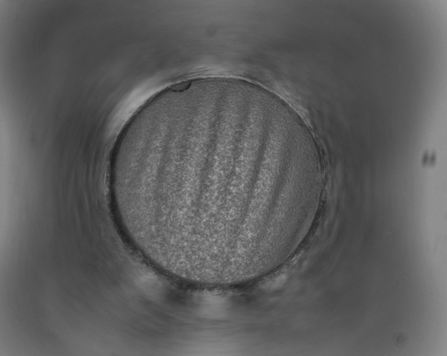 X0000092220103200709281051