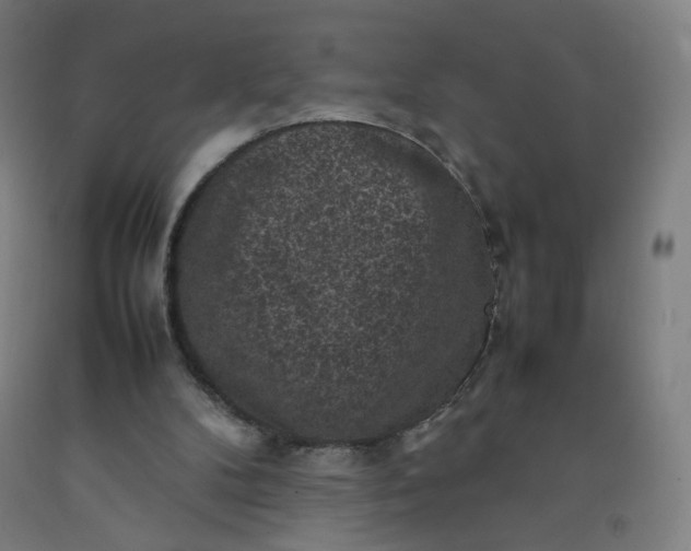 X0000092220104200709281051