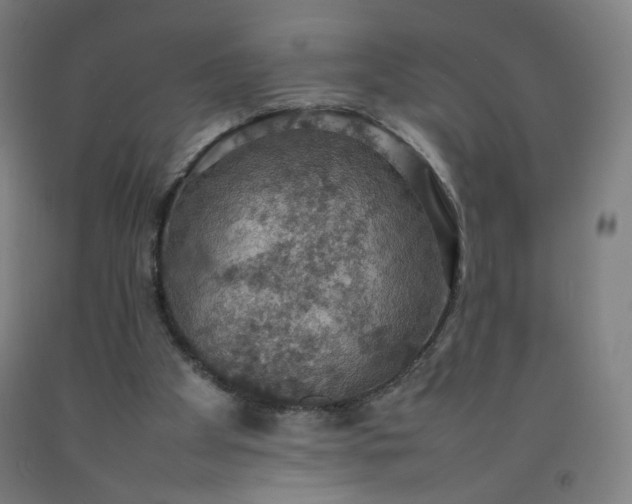 X0000092220105200709281051