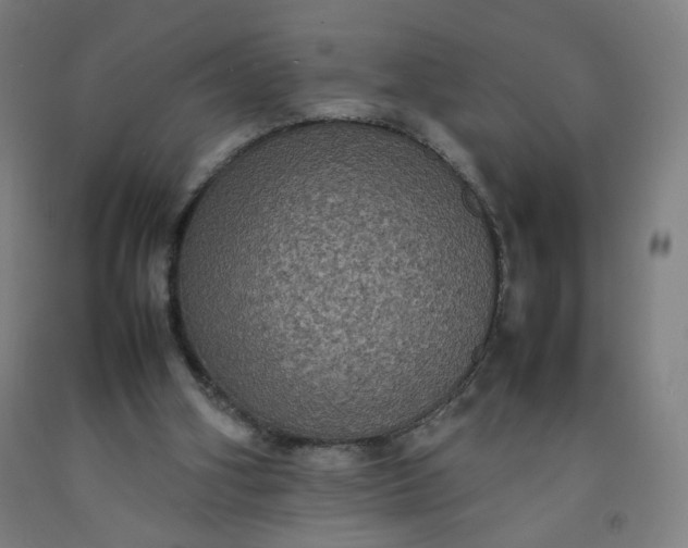 X0000092220106200709281051
