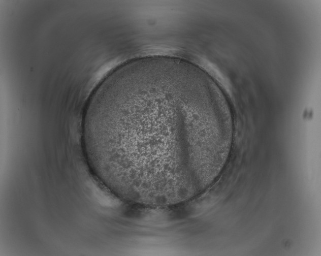 X0000092220107200709281051