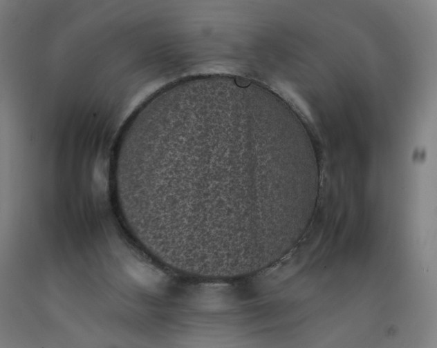 X0000092220108200709281051