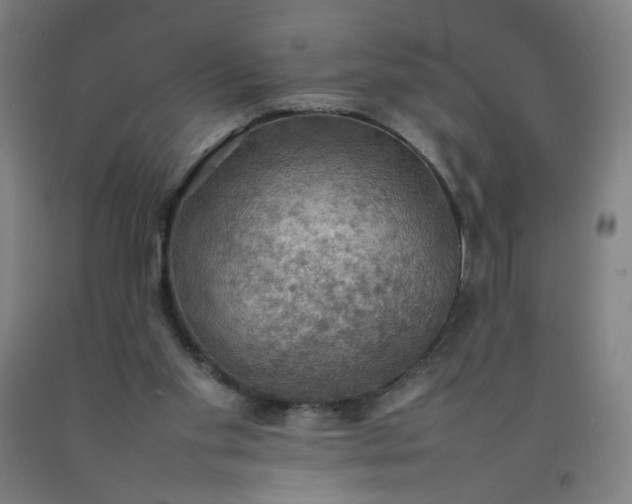 X0000092220109200709281051