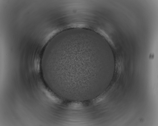 X0000092220110200709281051