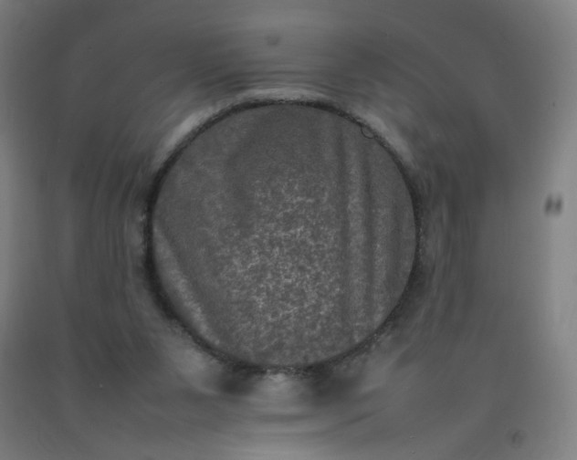 X0000092220111200709281051