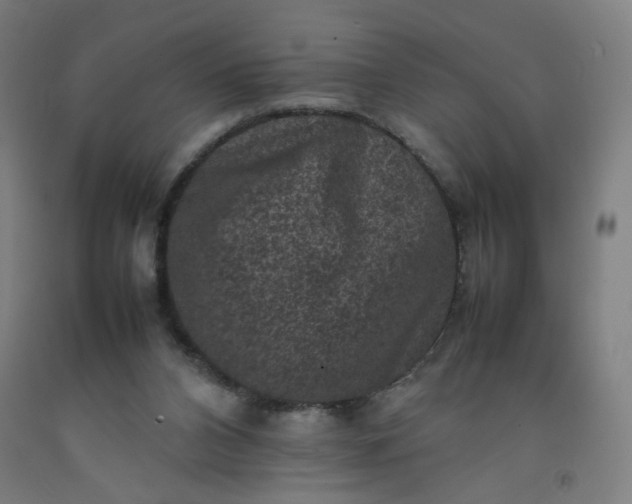 X0000092220112200709281051