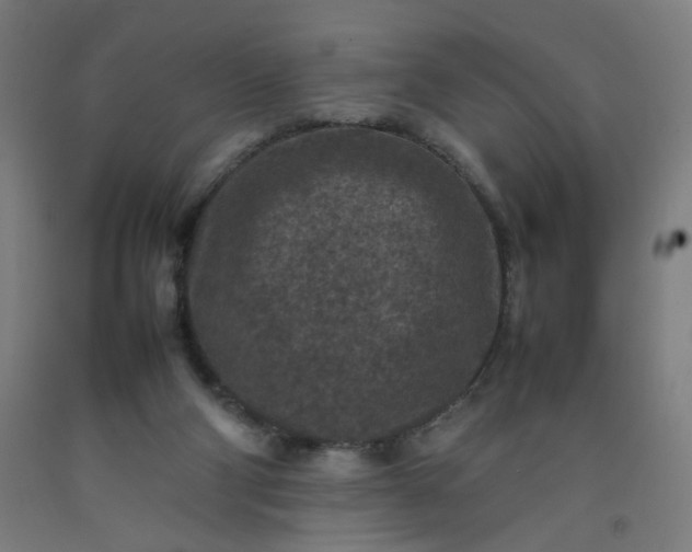 X0000092220114200709281051