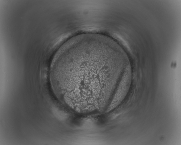 X0000092220115200709281051
