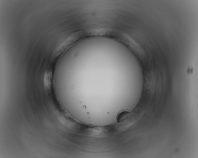 X0000092220118200709281051