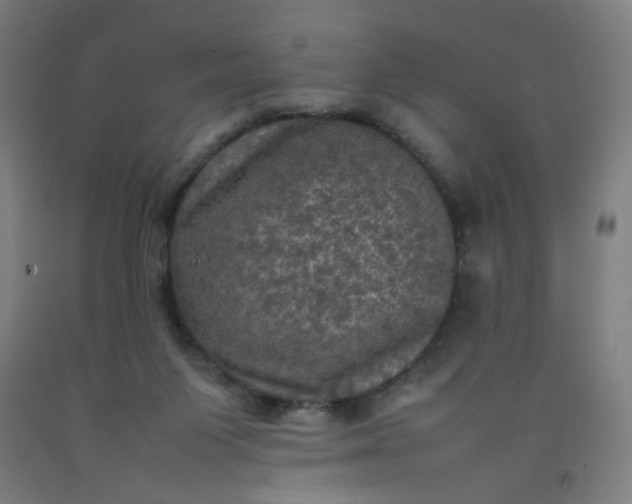 X0000092220119200709281051