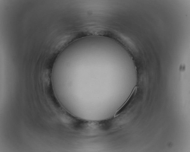 X0000092220121200709281051