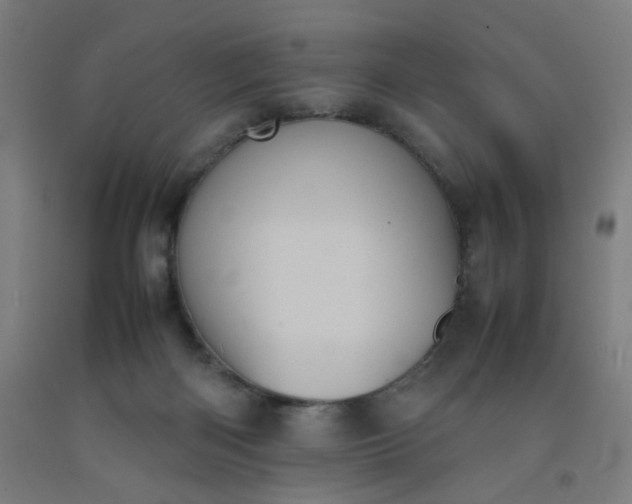 X0000092220122200709281051