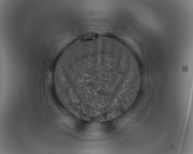 X0000092220123200709281051