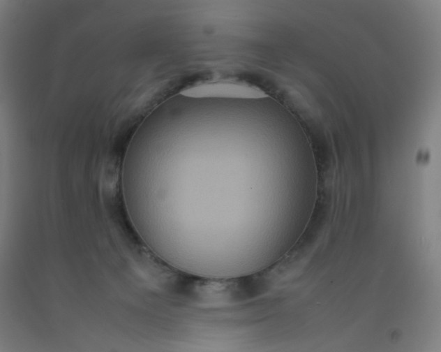 X0000092220129200709281051