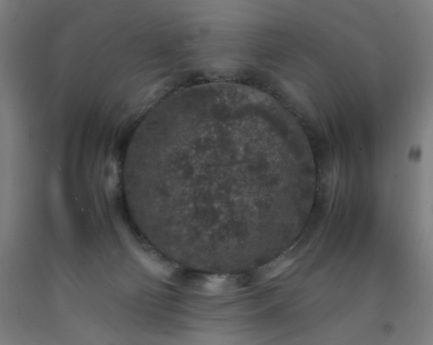 X0000092220130200709281051