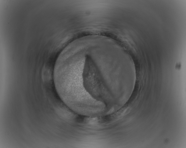 X0000092220131200709281051