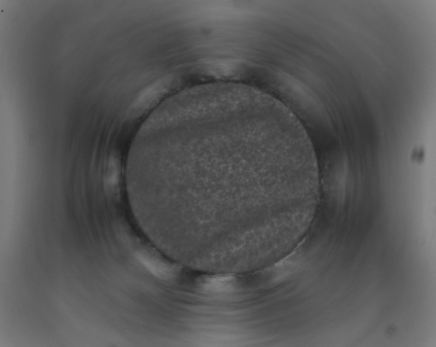 X0000092220132200709281051