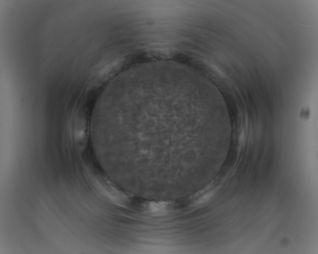 X0000092220134200709281051