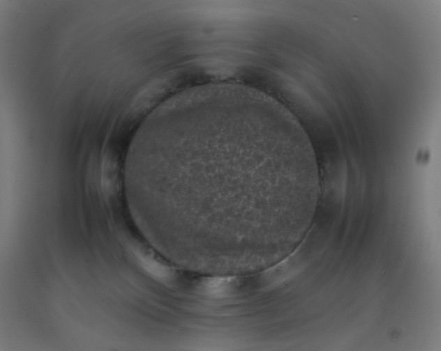 X0000092220136200709281051
