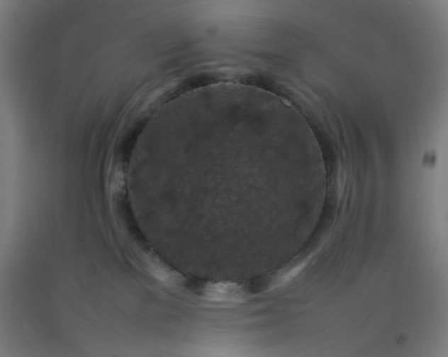 X0000092220137200709281051