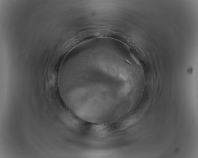 X0000092220139200709281051