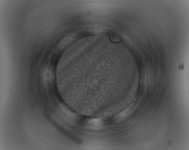 X0000092220140200709281051