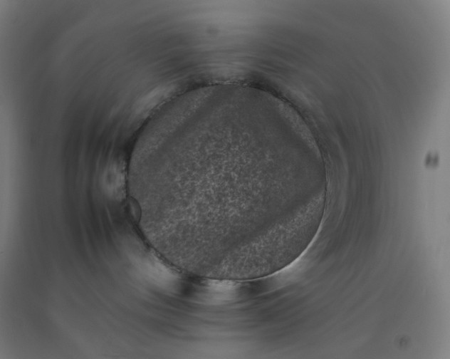 X0000092220144200709281051