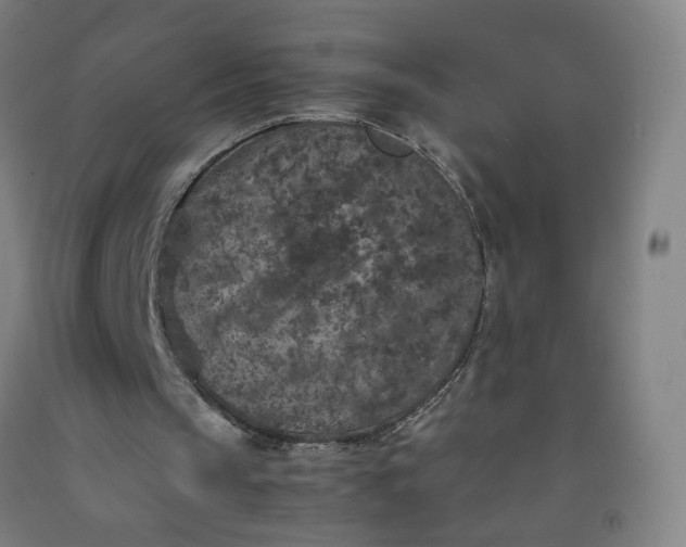 X0000092220145200709281050
