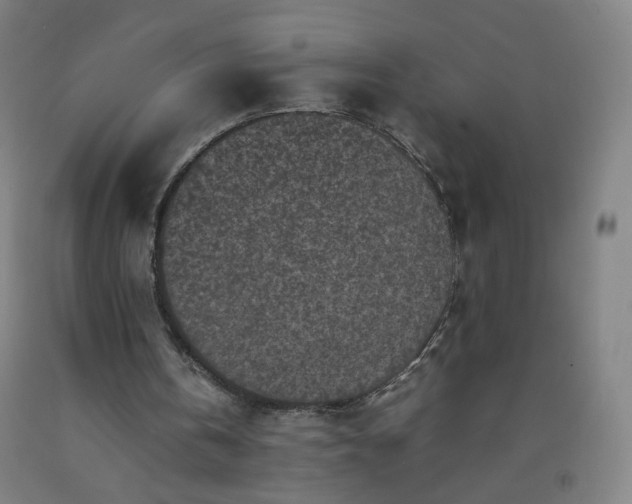 X0000092220146200709281050