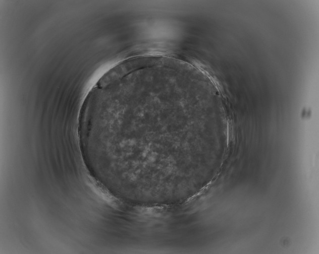 X0000092220147200709281050