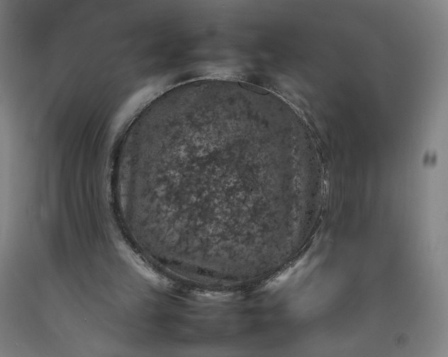 X0000092220149200709281050