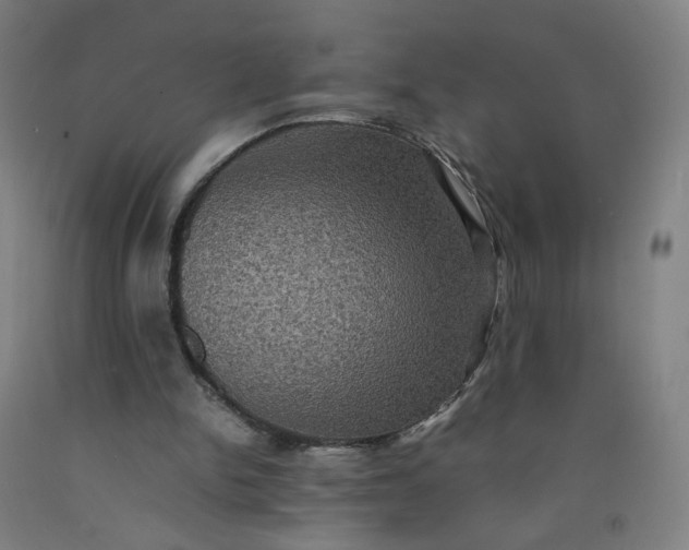 X0000092220150200709281050