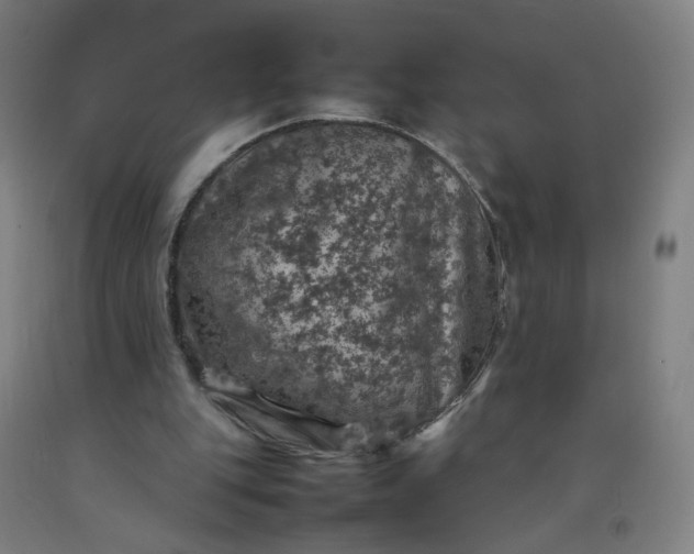 X0000092220151200709281050