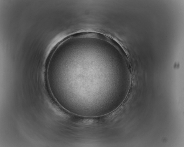 X0000092220152200709281050