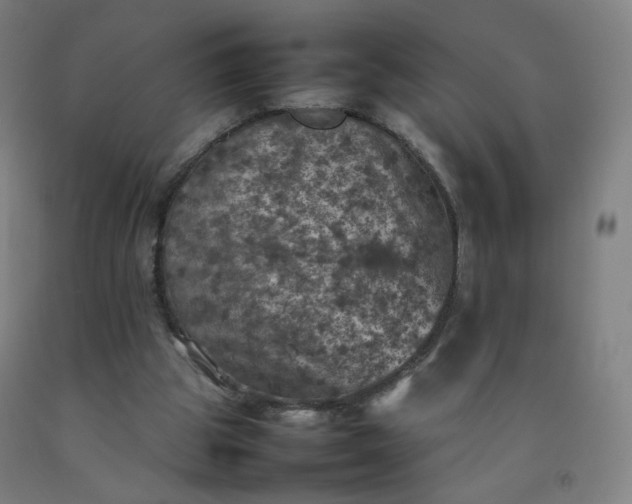 X0000092220153200709281050