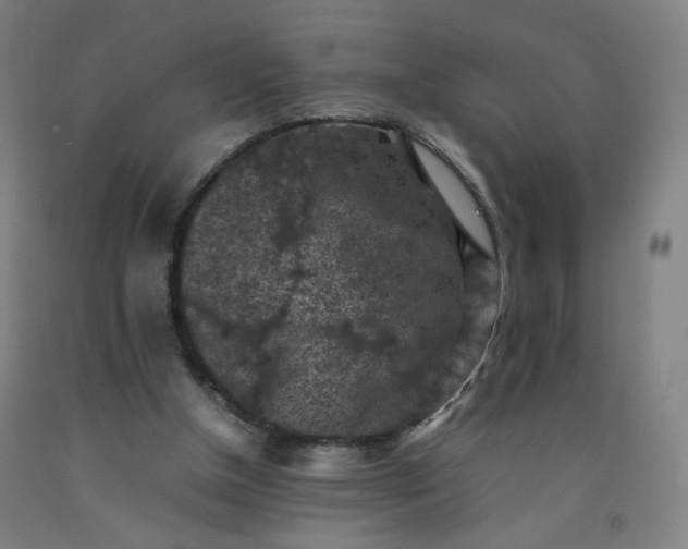 X0000092220154200709281050