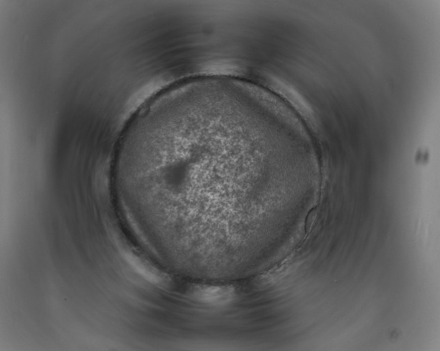 X0000092220155200709281050