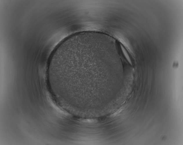 X0000092220156200709281050