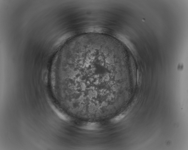 X0000092220157200709281050