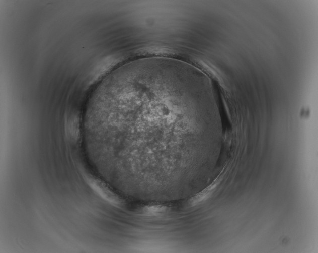 X0000092220158200709281050