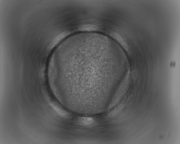 X0000092220159200709281050