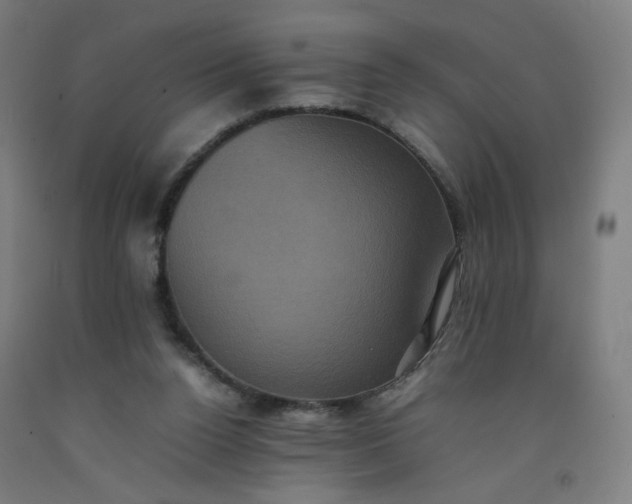 X0000092220160200709281050